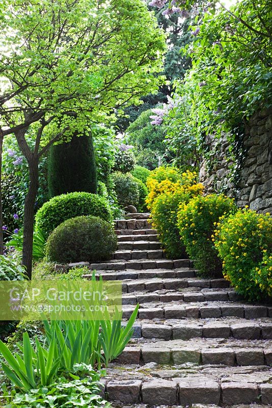 Stone steps - La Louve garden, Provence, France
