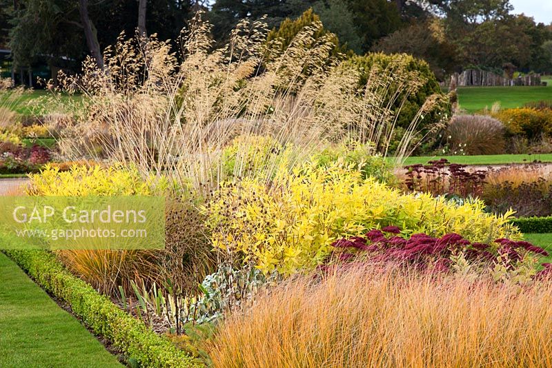 Overlooking the Italian Garden with grasses and seedheads of perennials, designed by Tom Stuart-Smith - Trentham Gardens, Staffordshire, October