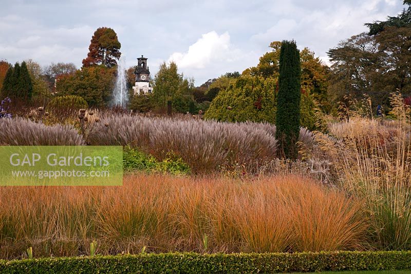 Overlooking the Italian Garden with grasses and seedheads of perennials, designed by Tom Stuart-Smith at Trentham Gardens, Staffordshire, October
