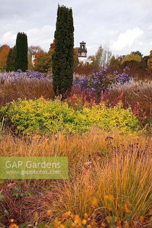 Overlooking the Italian Garden with grasses and seedheads of perennials designed by Tom Stuart-Smith - Trentham Gardens, Staffordshire, October