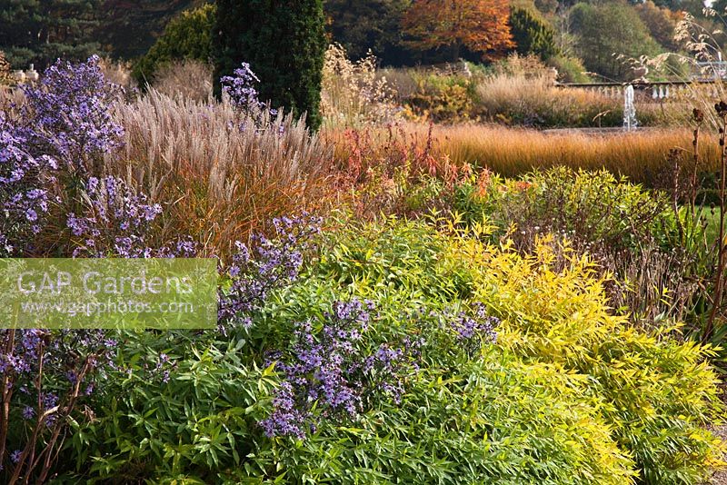 The Italian Garden with grasses and seedheads of perennials, designed by Tom Stuart-Smith - Trentham Gardens, Staffordshire, October