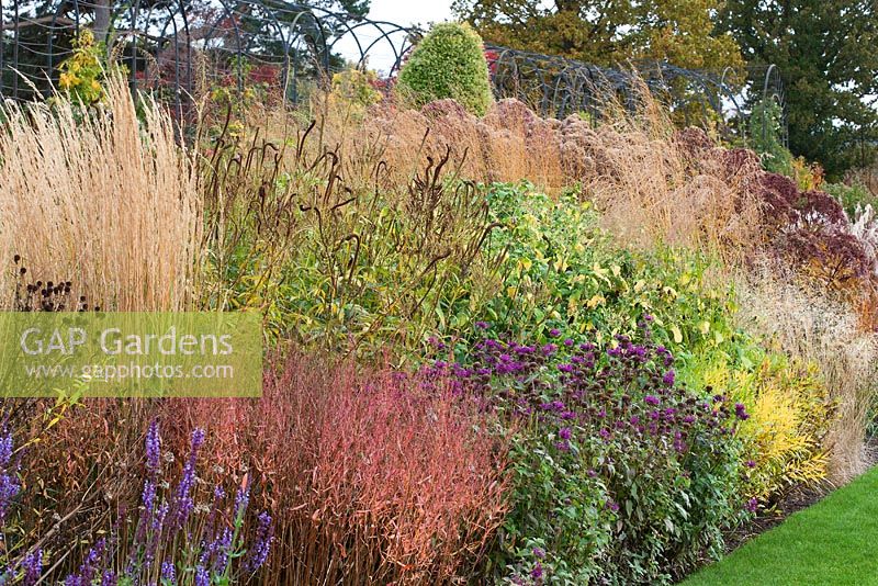 Border of grasses and seedheads of perennials designed by Piet Oudolf at Trentham Gardens, Staffordshire, October. 