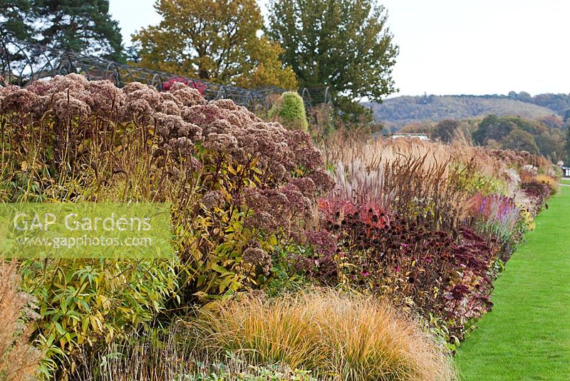 Border of grasses and seedheads of perennials designed by Piet Oudolf at Trentham Gardens, Staffordshire, October 