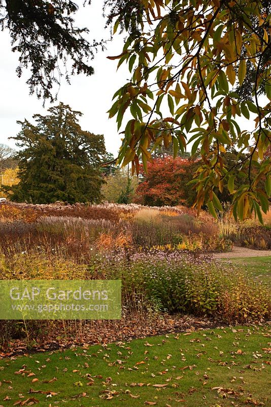 New area of perennials and grasses, designed by Piet Oudolf - Trentham Gardens, Staffordshire, October