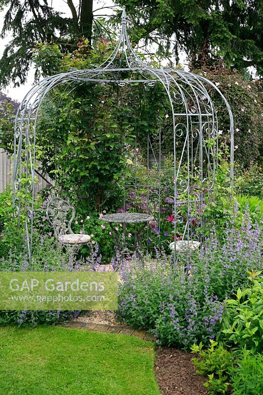 Romantic wrought iron arbour and seating area surrounded by Nepeta - Catmint and Allium - Ornamental onions
