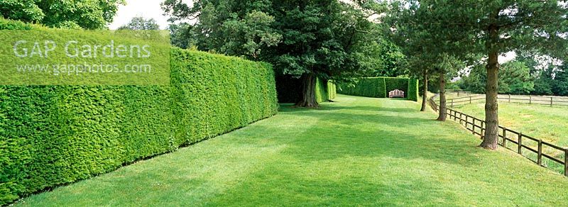 A grass avenue with Taxus - Yew hedges leading to a seat at Farleigh House, Hampshire