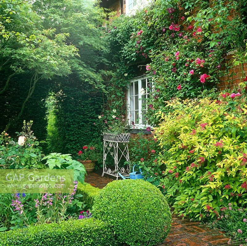 Informal cottage garden 