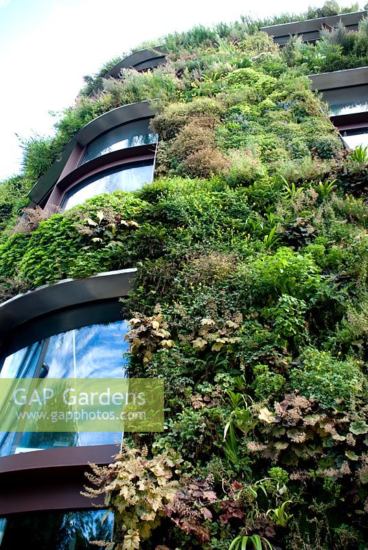 Vertical planting on building - Musee du quai Branly