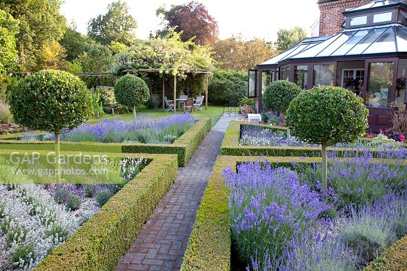 Path through parterre in Mediterranean garden with Ilex - Holly standards and Buxus - Box hedging underplanted with Lavandula - Lavender
 