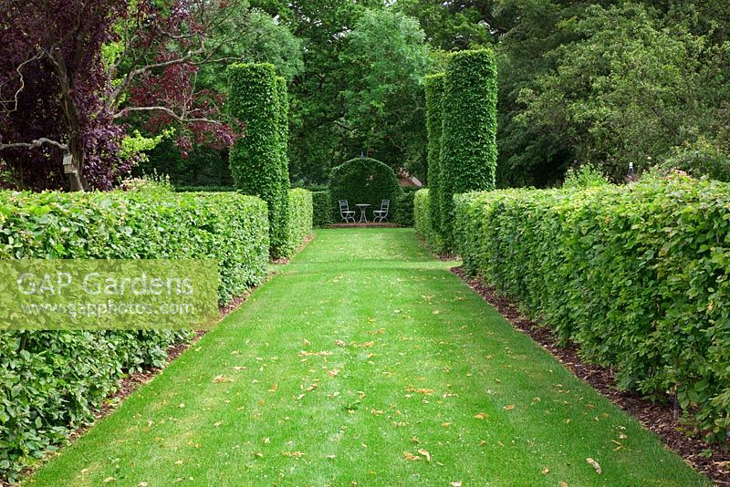 Allee with Carpinus betulus - Hornbeam hedges and four Hornbeam pillars leads to Hornbeam arbour with seating. High Canfold Farm, Surrey 