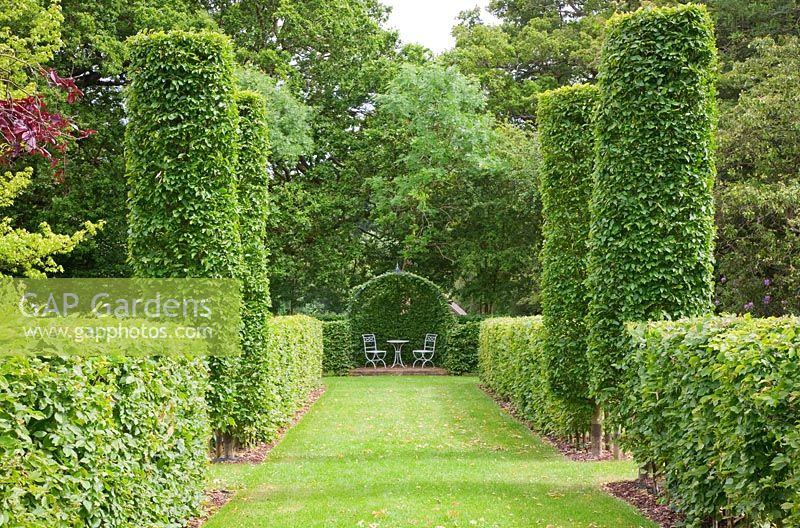 Allee with Carpinus betulus - Hornbeam hedges and four Hornbeam pillars leads to Hornbeam arbour with seating. High Canfold Farm, Surrey 
 