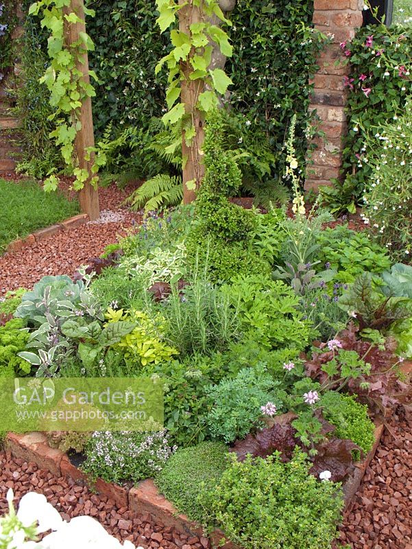 Square bed of Lettuce 'Salad bowl' and 'Lollo Rosso', Oregano, Beta - Rainbow Chard, Mentha - Spearmint, Salvia - Sage and Artemisia - Wormwood. The Mod-ieval Garden - RHS Tatton Park 2010