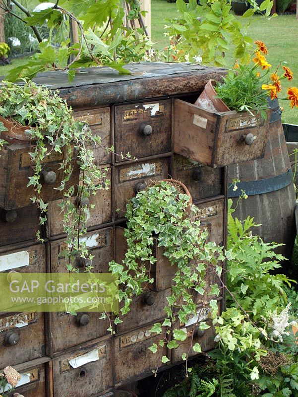 Old office storage used as container for annuals and climbers - RHS Tatton Park 2010