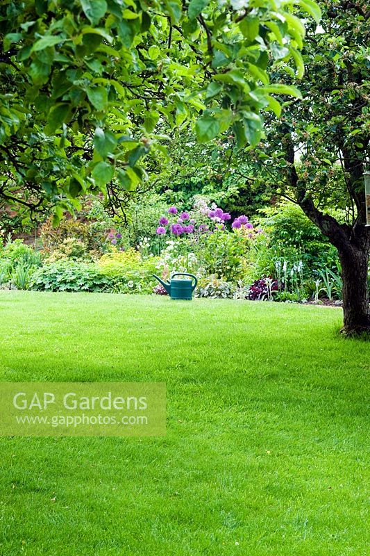 Lawn with watering can and apple tree in late Spring - End Lodge, NGS