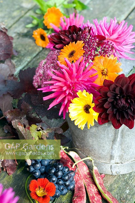 Autumn floral arrangement with Dahlias, Nasturiums, vine foliage and grapes