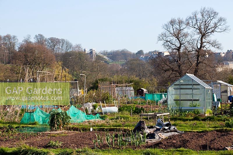 Bristol allotments with view of Clifton Suspension Bridge