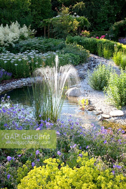 Pond with fountain, planting of Persicaria polymorpha, Achillea, Alchemilla mollis and Geranium 'Spinners' 
