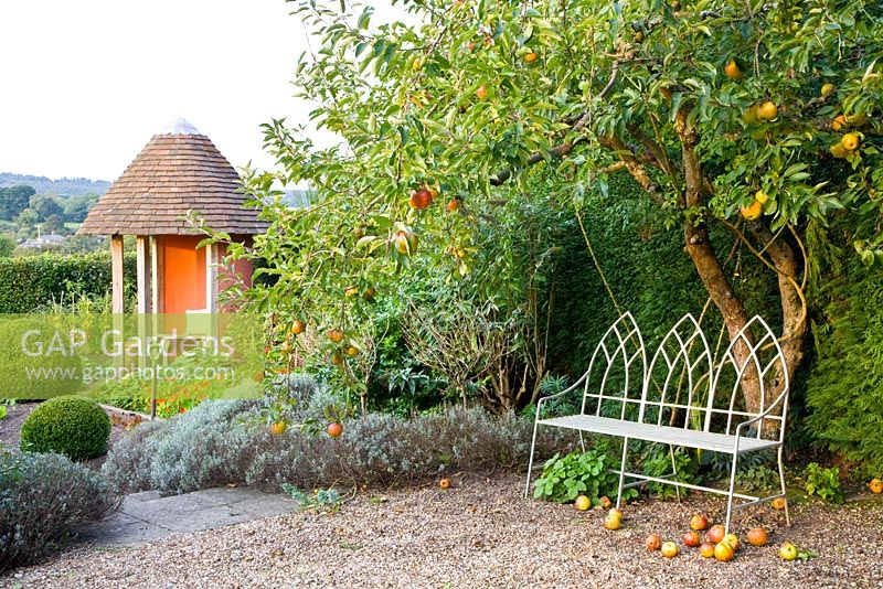 Gazebo and seating area beneath an apple tree