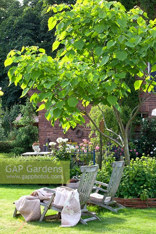 Seating area next to a bed with Catalpa bignonioides 
