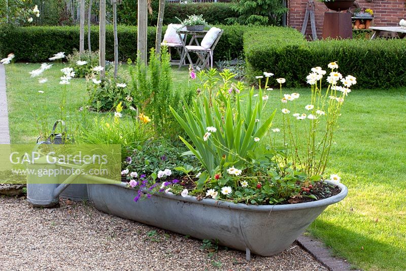 Old tin bath used as planter and watering can
