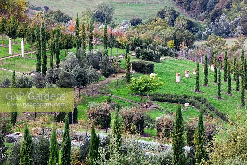 The Field. Il Bosco Della Ragnaia, San Giovanni D'Asso, Tuscany, Italy, October. 