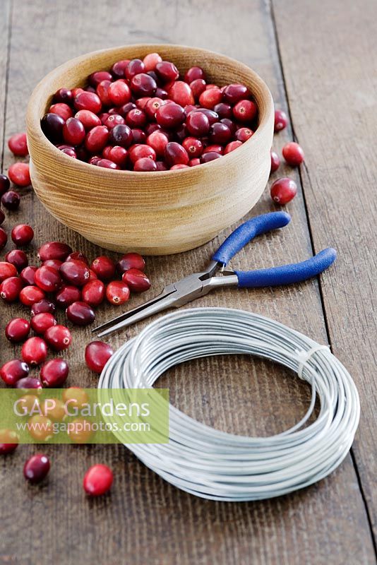 Making a Cranberry and Bay leaf decorative ring - All items needed, cranberries, wire and pliers 
