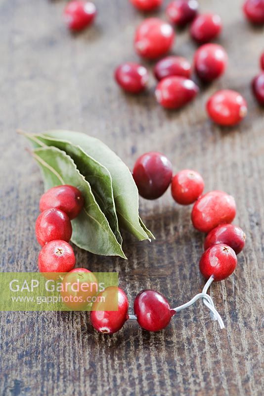 Making a Cranberry and Bay leaf decorative ring - finished decoration