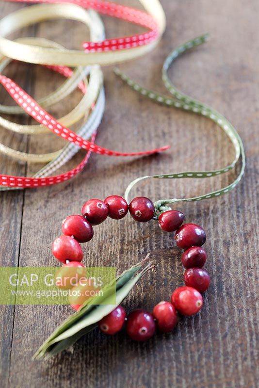 Making a Cranberry and Bay leaf decorative ring - finished decoration with ribbon for hanging