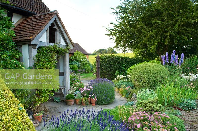 Traditional English cottage garden with pots and containers next to door. Plants include Verbena, Lavandula, Spiraea, Lonicera clipped into a ball and Delphinium. Carol and Malcolm Skinner, Eastgrove Cottage, Worcs, UK
 
