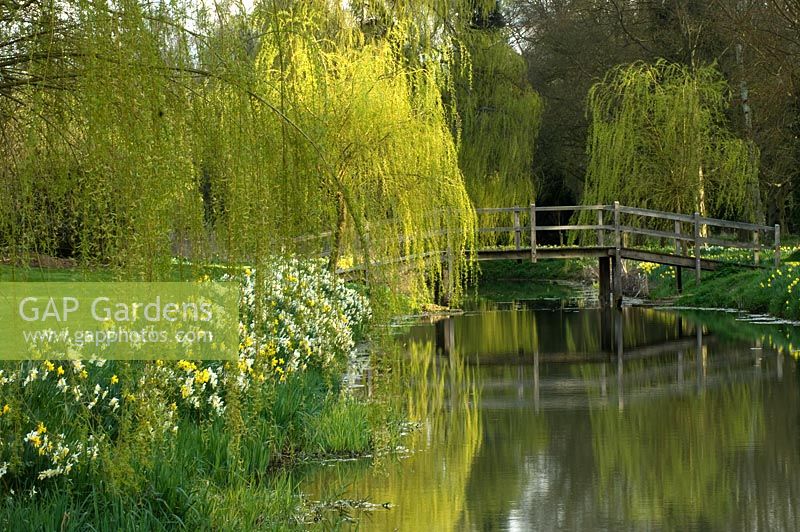 Lake in country garden in spring. Great Thurlow Hall, Suffolk, UK
