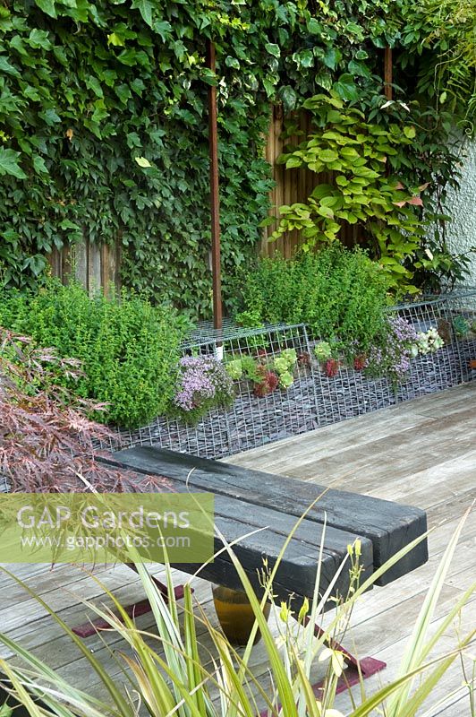 Small urban garden with wooden sleeper bench, decking, raised bed and retaining gabion wall - Highgate, London
