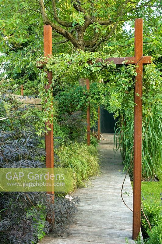 Small urban garden with wooden path, metal  pergola with Passiflora wooden deck path border - Highgate, London 