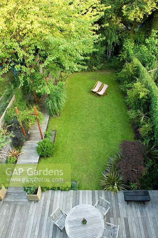 Overview of small urban garden with wooden decked pathway and patio, container with Pinus and metal arch with Passiflora - Highgate, London

