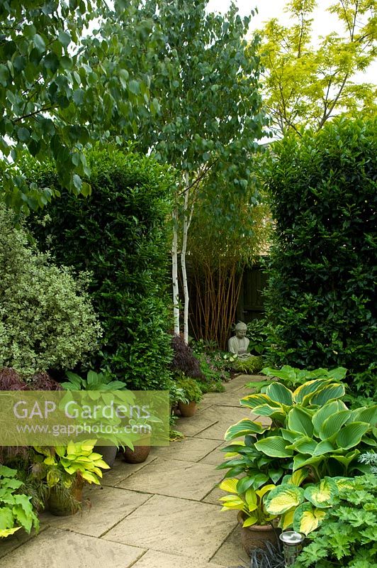 Small urban garden with paved path leading to Buddha ornament and border of Pittosporum, Hosta, Acer and bamboo - NGS garden, Foster Road, Peterborough, Cambridgeshire