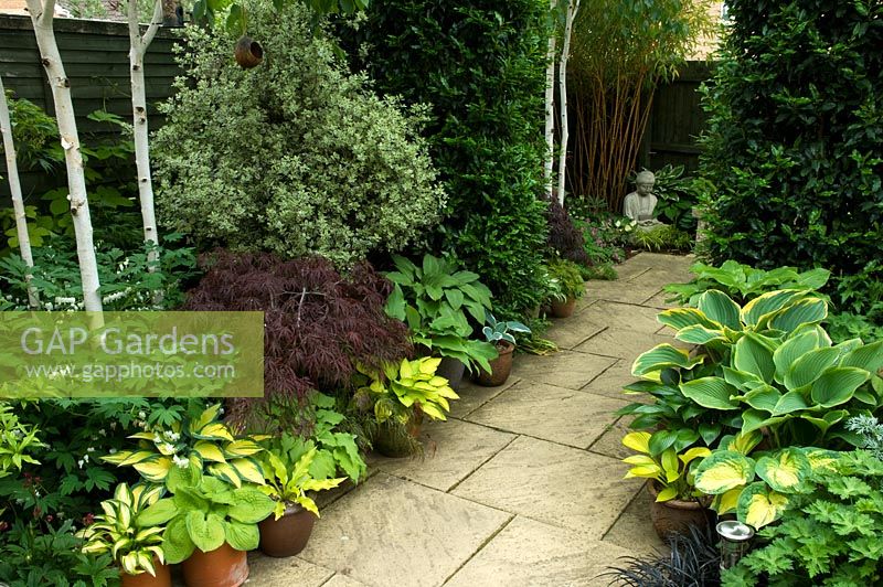 Small urban garden with paved path leading to Buddha ornament and border of Pittosporum, Hosta, Acer and bamboo - NGS garden, Foster Road, Peterborough, Cambridgeshire
