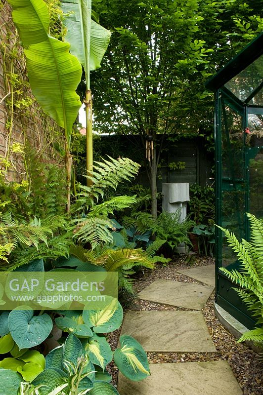 Small urban garden with paved pathway, sculpture and planting of ferns, Hostas and Musa - NGS garden, Foster Road, Peterborough, Cambridgeshire
