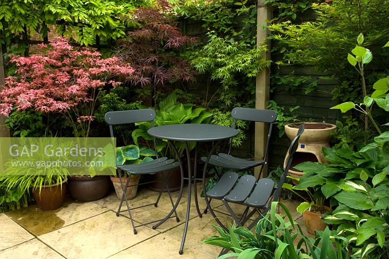 Small urban garden with seating area and planting of Acer and Hostas - NGS garden, Foster Road, Peterborough, Cambridge
