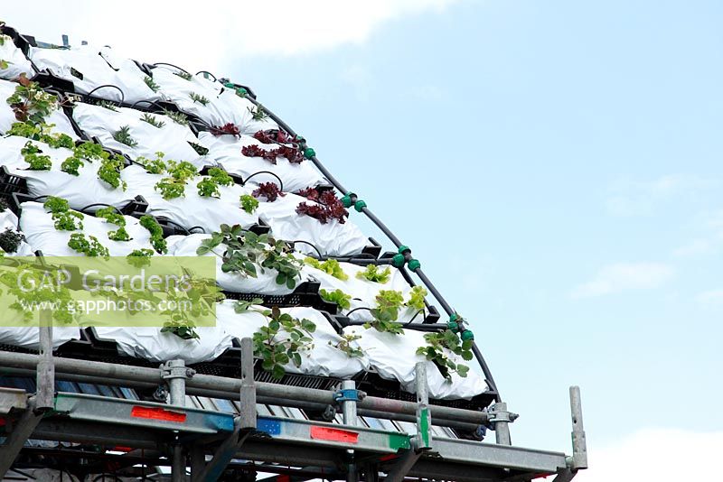 Roof to grow Vegetables and Herbs - The 'Eat Me' Garden - Won First Prize at the Festival of Gardens Appeltern, Holland 
