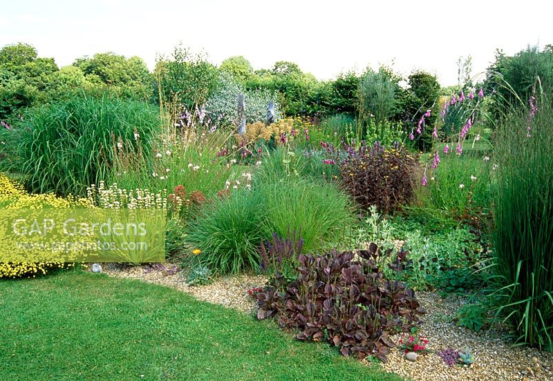 Late summer dry garden of grasses and perennials