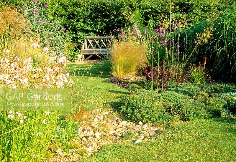 A dry coastal garden with grasses and perennials