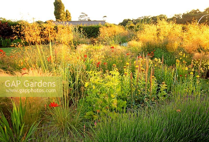Late summer border of grasses and perennials