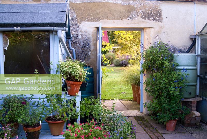 Propagation and nursery area with view through doorway into walled garden - Grass Garden, Hants