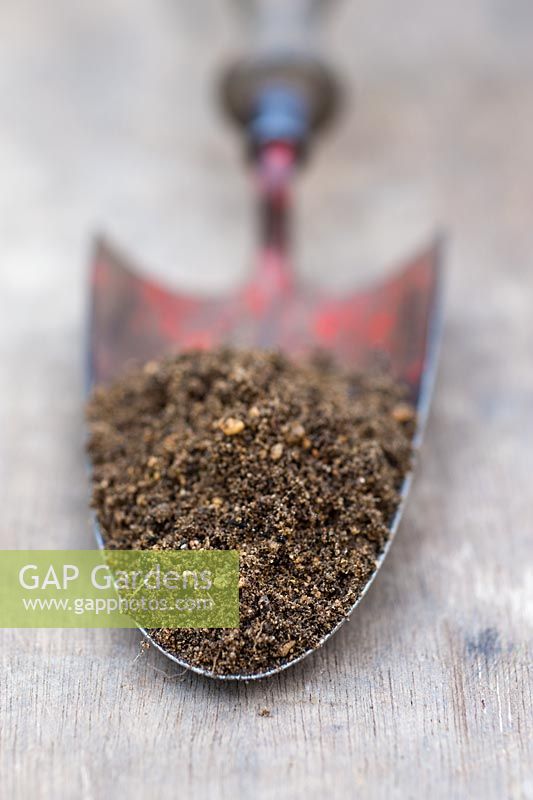 Soil sample on tip of garden trowel -  Sandy soil