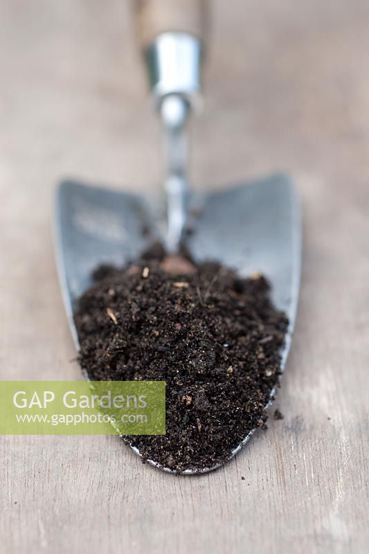 Soil sample on tip of garden trowel - Loam