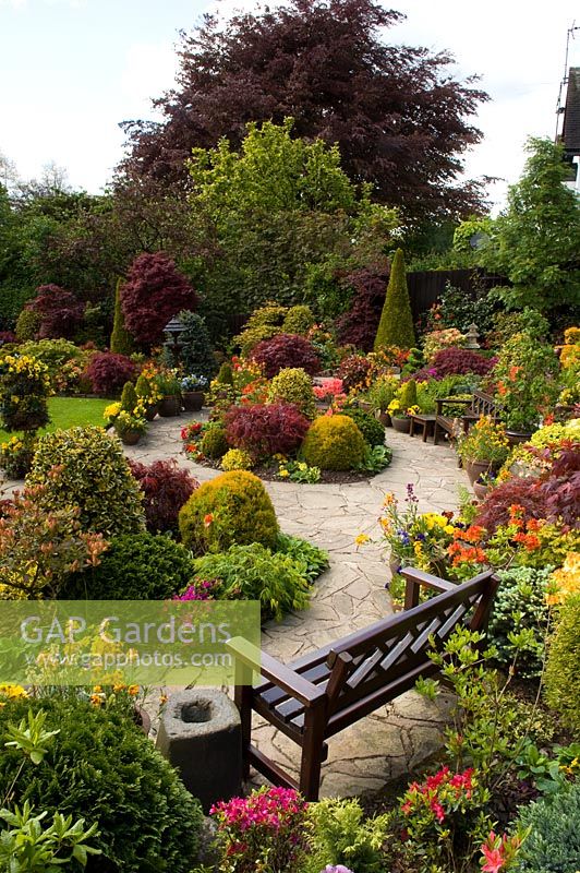 Wooden bench in Oriental style garden with borders of Azalea, Acer, Erysimum, Viola - Pansies and conifers. Tony and Marie Newton, Walsall, UK