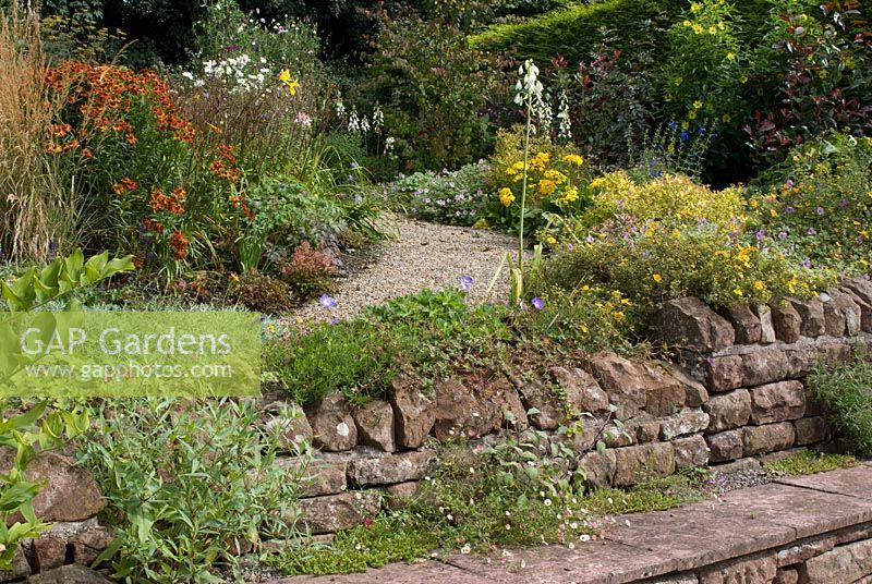 Terracing with red sandstone walls, stone seats and gravel path with late summer borders planted with perennials and grasses including Calamagrostis acutiflora 'Overdam', Helenium 'Rubinzwerg', Salvia patens, Microseris 'Girandole, Spirea 'Candlelight', Galtonia candicans, Potentilla 'Hopleys Orange' and Geranium 'Joy'  at Church View, Appleby-in-Westmorland, Cumbria NGS