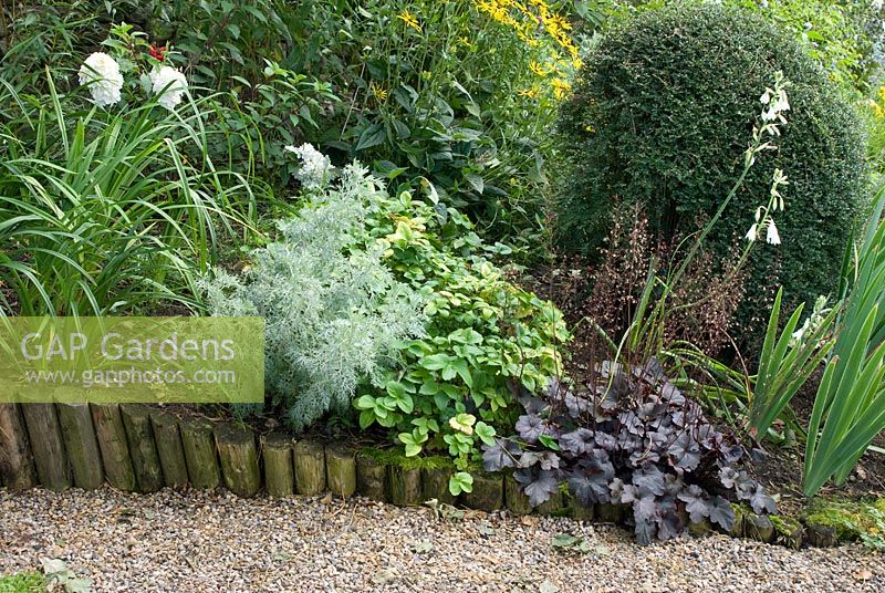 Gravel path and border on a slope with log roll edge and planting with Hydrangea 'Vanilla Fraise', Artemisia 'Powis Castle', Galtonia candicans, Heuchera obsidian and Rudbeckia fulgida 'Goldsturm' at Church View, Appleby-in-Westmorland, Cumbria NGS