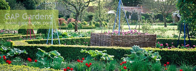 The walled garden with Tulipa, buxus hedges and decorative tripods at West Green House designed by Marylyn Abbott