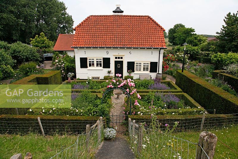Overview of Dutch country garden. Buxus - Box parterre on left with Aster macrophyllus, Anemone 'Wirlwind', Sanquisorba, Nepeta faasennii and white Phlox. Parterre on right with Rosa 'Clair Matin'. Arch with Rosa 'Clair Matin' and Clematis jouiniana 'Praecox'. Schrijvershof, Holland 