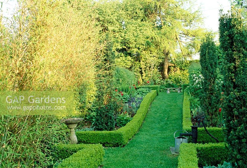 Sloping path with hot coloured borders edged with low Buxus - Box hedges. Late Spring, Fovant Hut Garden, Wilts.